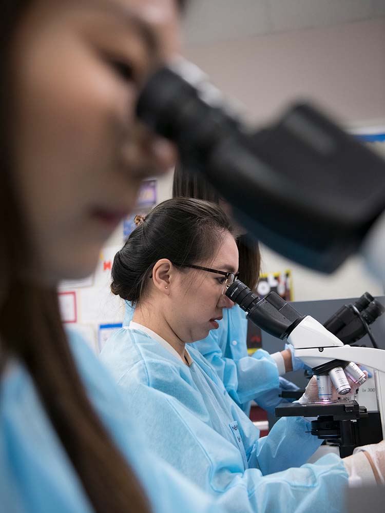 Medical Lab students studying through microscope